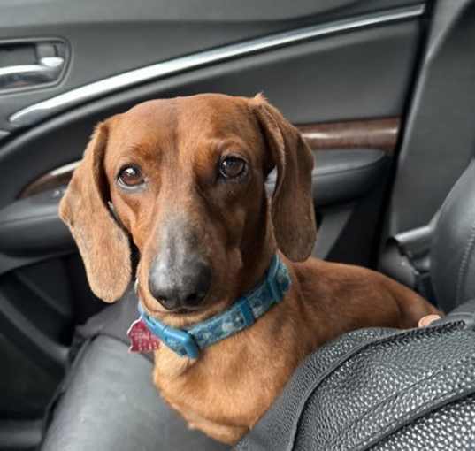 Photo of Bernard