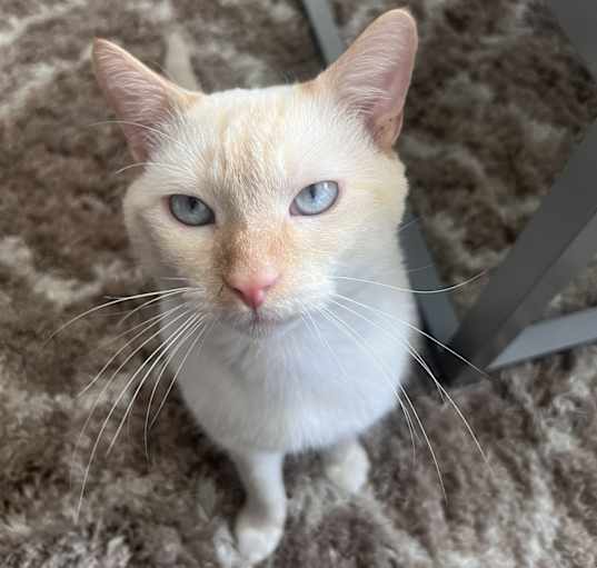 Photo of Yuki