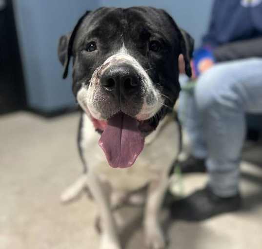 Photo of Zeus