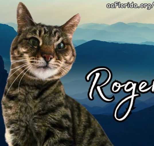 Photo of Roger