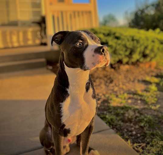 Photo of Zeus