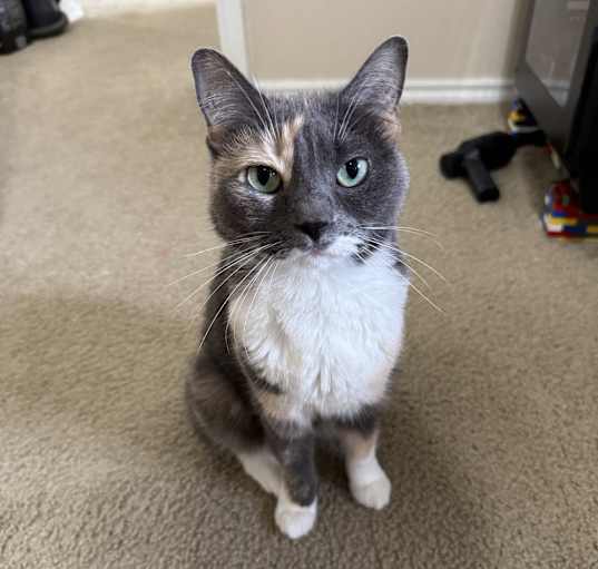 Photo of Lucy