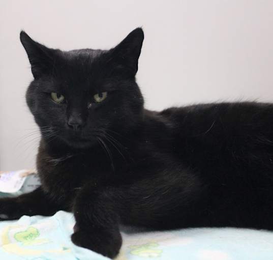 Photo of Tapatio