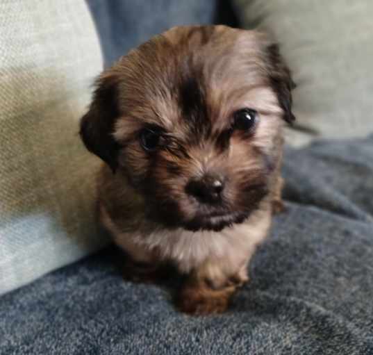 Photo of Baby boy