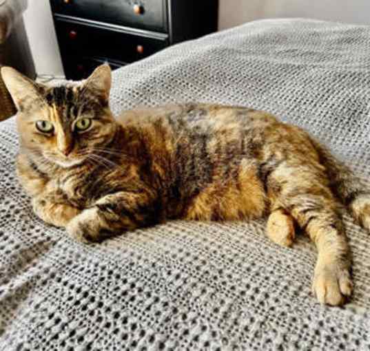 Photo of Chiquita