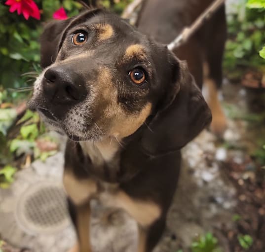 Photo of Blip