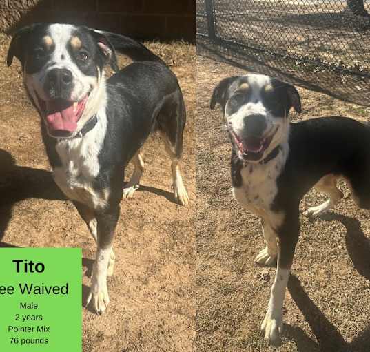 Photo of Tito