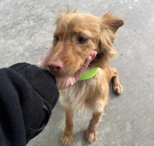 Photo of Charlie