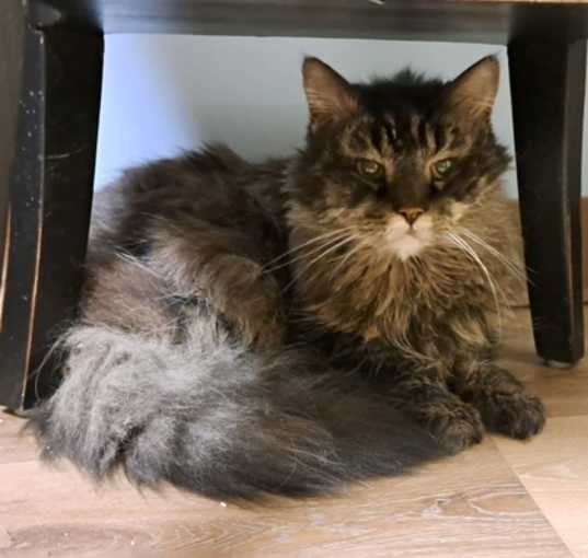 Photo of Jazz