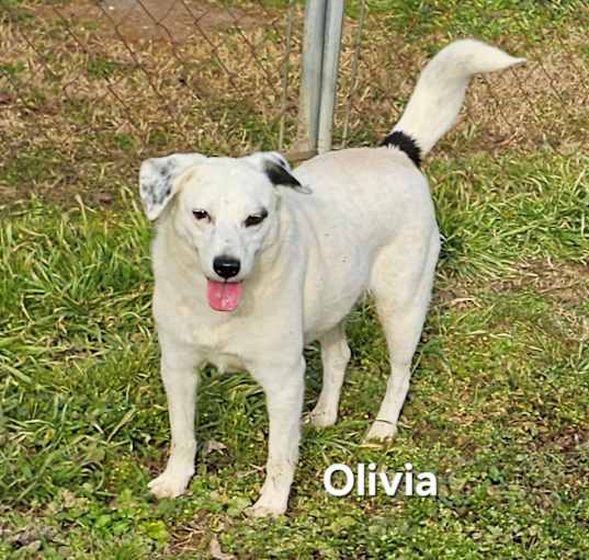 Photo of Olivia