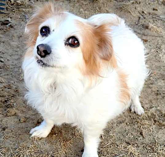 Photo of Molly