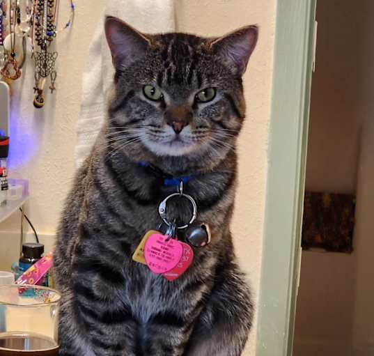 Photo of Dude