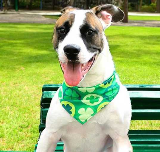 Photo of JAX