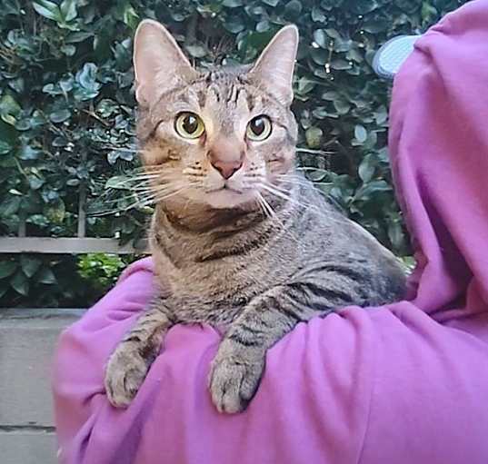 Photo of Mimi