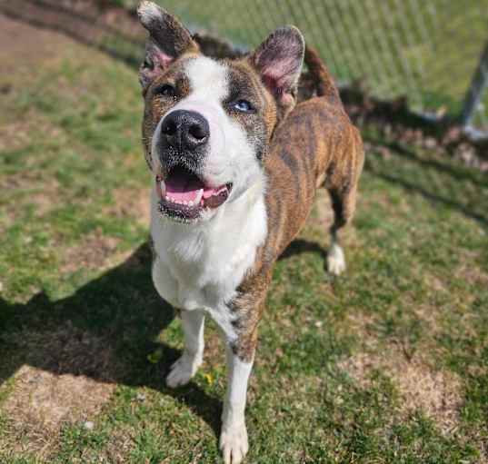 Photo of Zeus