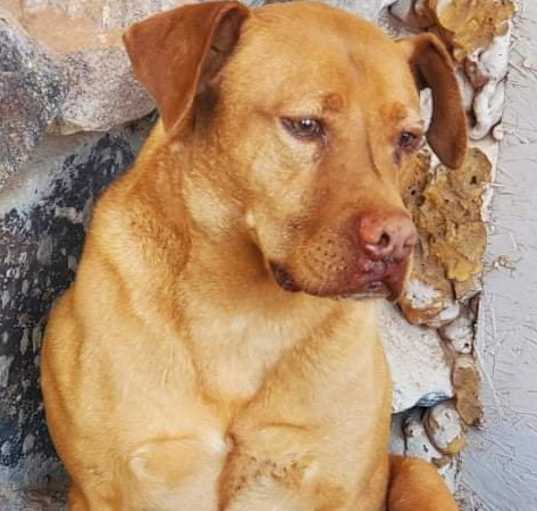 Photo of Big Redd