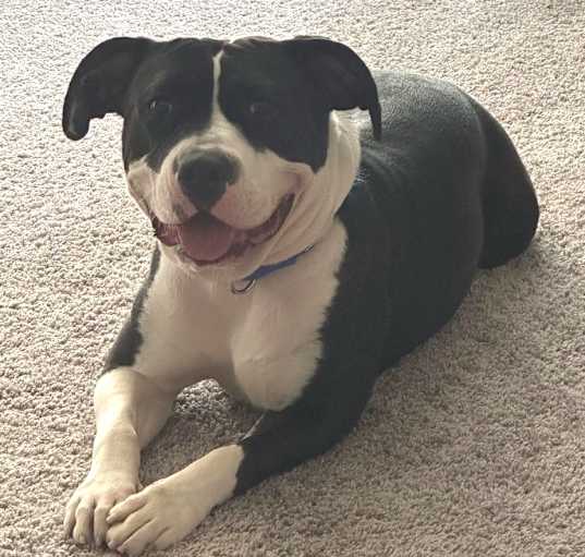 Photo of Annie