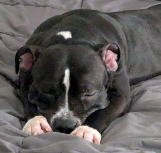 Photo of Sophia