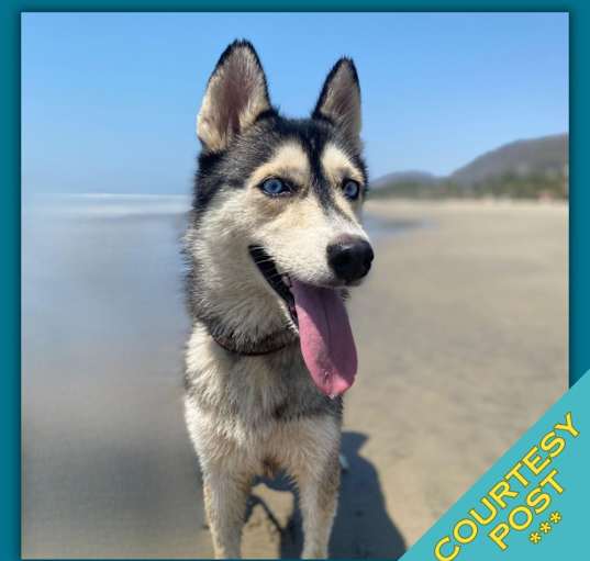 Photo of Sora (CP)