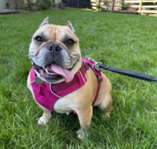Photo of Ellie