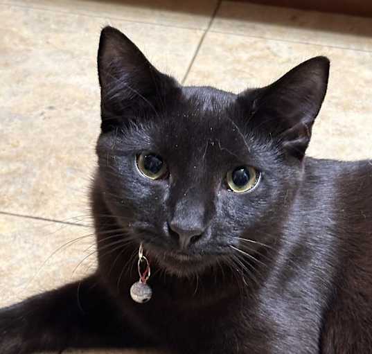 Photo of Thumper
