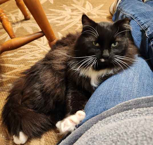 Photo of Niles