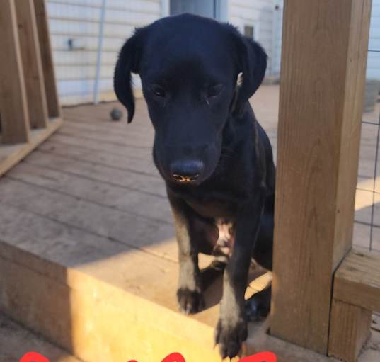 Photo of Casper