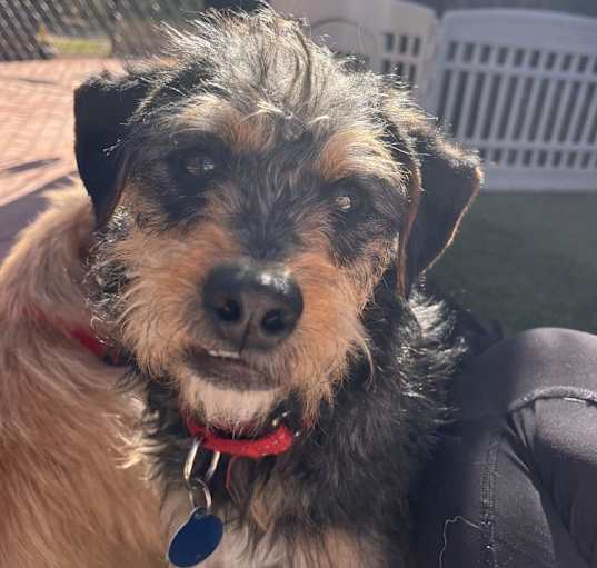 Photo of Chili
