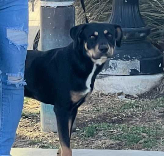 Photo of Zeus