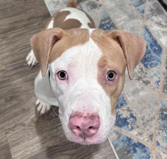 Photo of Arlo