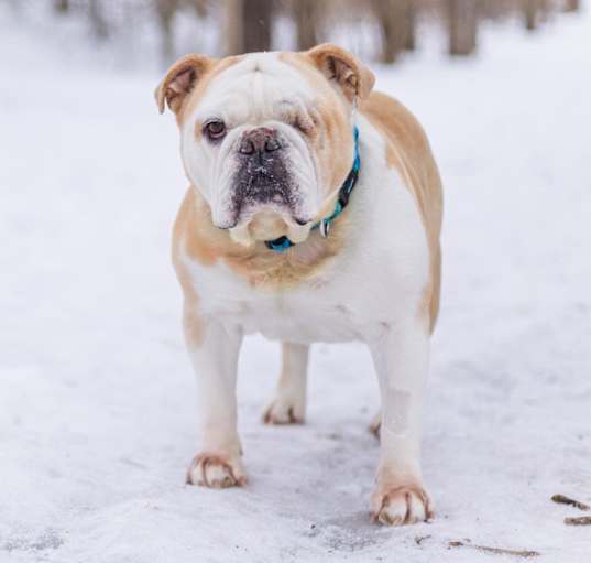 Photo of Leroy