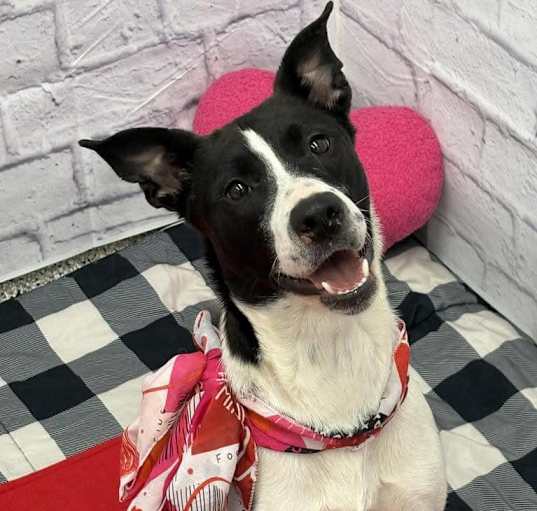 Photo of Coco