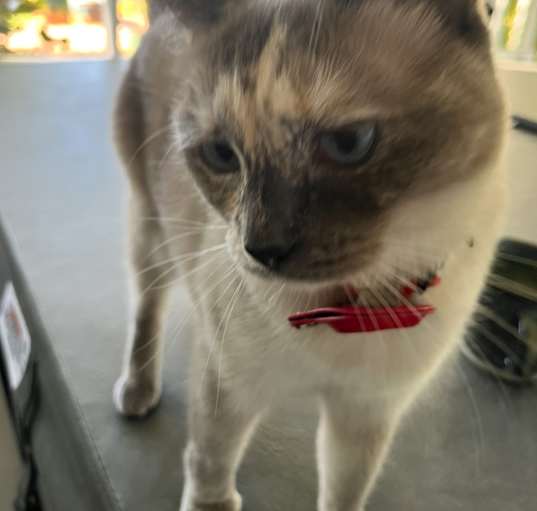 Photo of Lucia