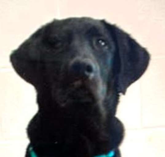 Photo of Remington