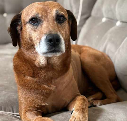 Photo of Parker