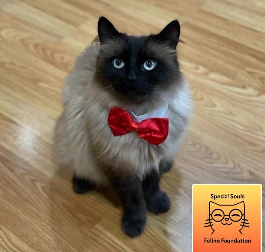 Photo of Tuna