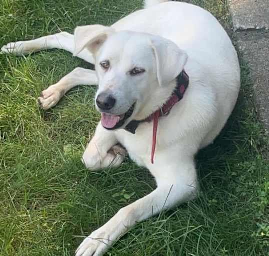 Photo of Freya