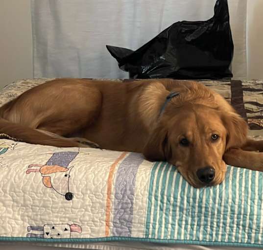Photo of Jasper