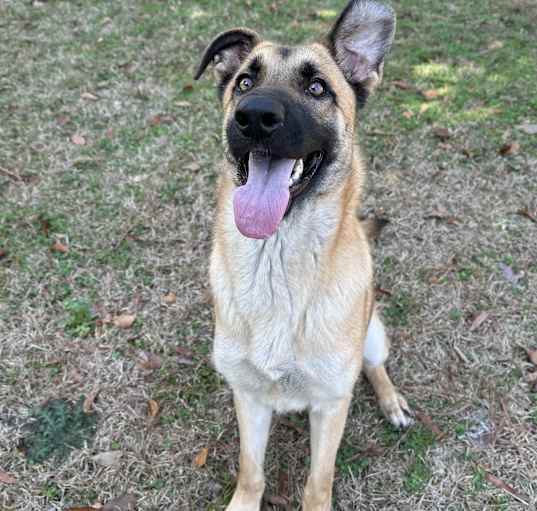 Photo of Zeus