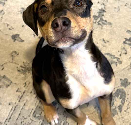 Photo of Archer