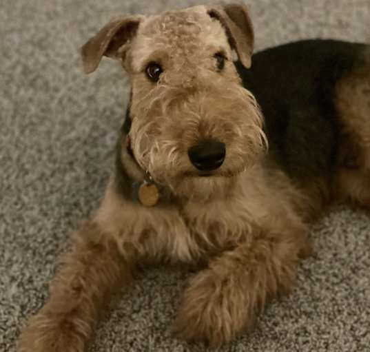 Photo of Judah