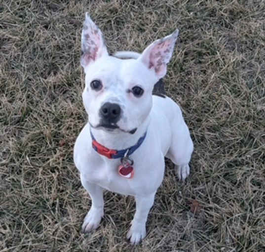 Photo of Freckle