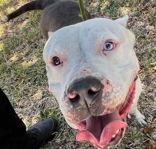 Photo of MISSY