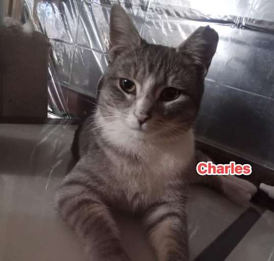 Photo of Charles