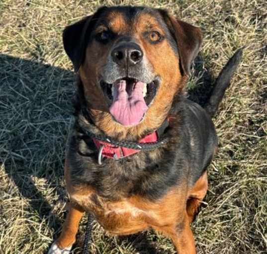 Photo of Jake