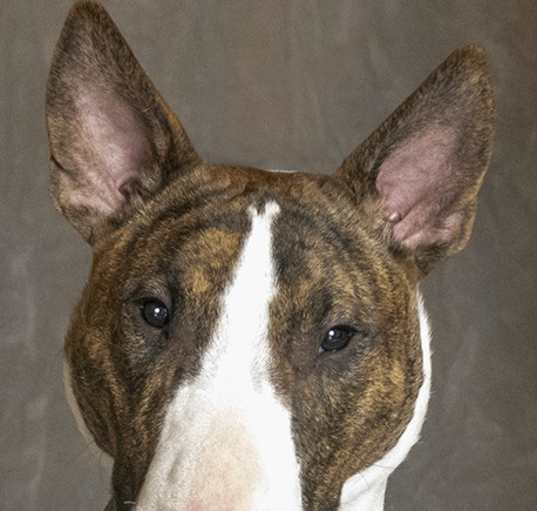 Photo of Rudy