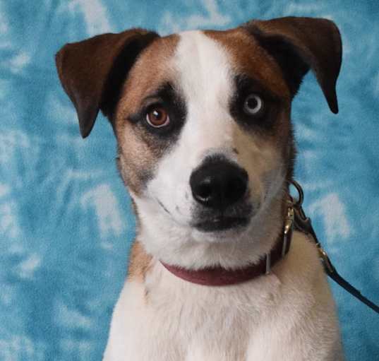 Photo of Shilo