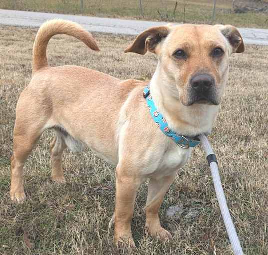 Photo of Buddy