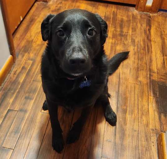 Photo of Mia