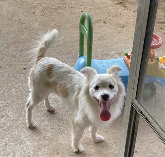 Photo of Chloe